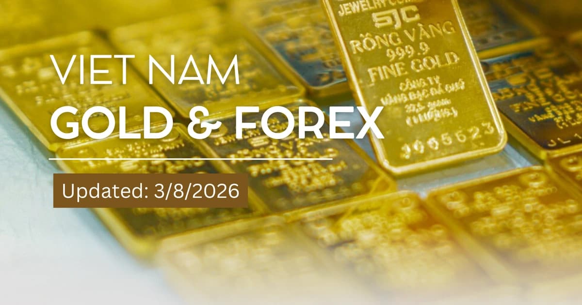 Infographic: SJC gold bars hold steady at 141 million VND per tael on August 3