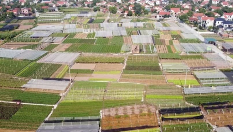 Benefits of cooperative production linkages