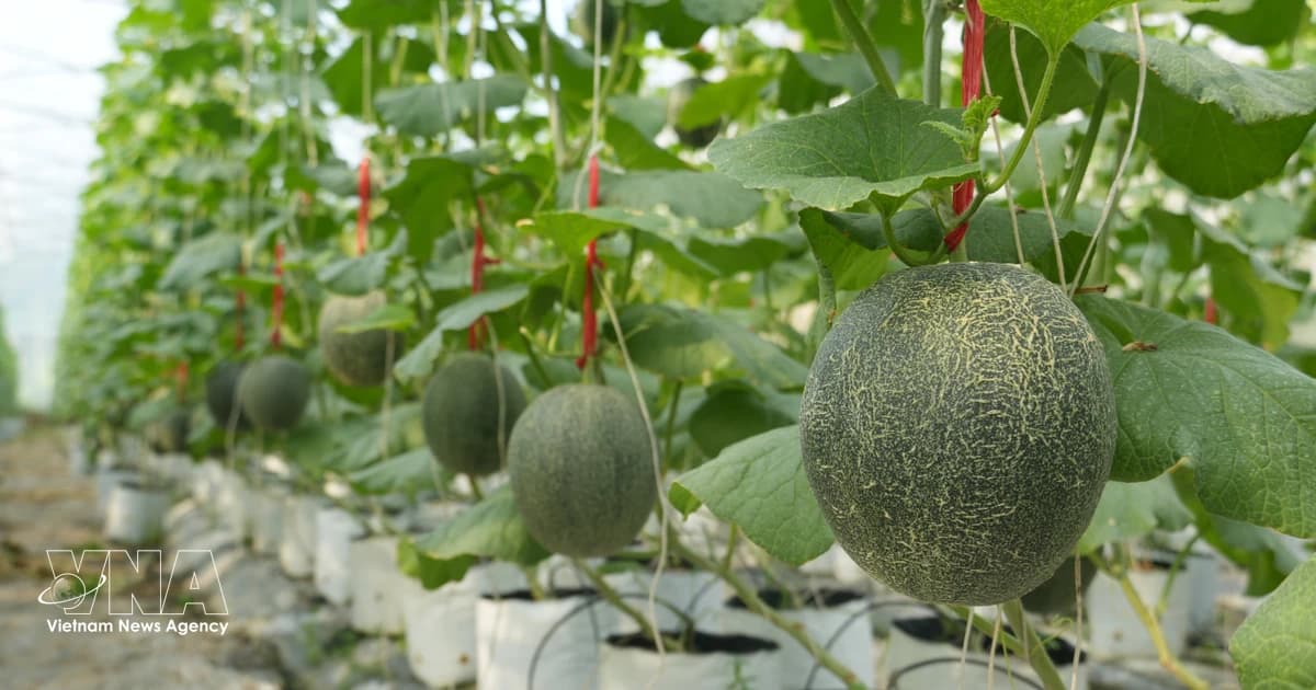 Strengthened traceability helps boost value of agricultural exports