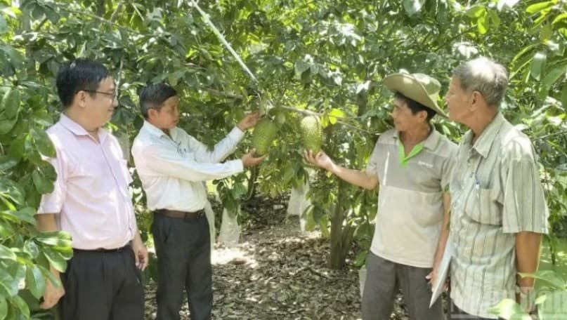 Improving agricultural product quality to meet demands of Chinese market