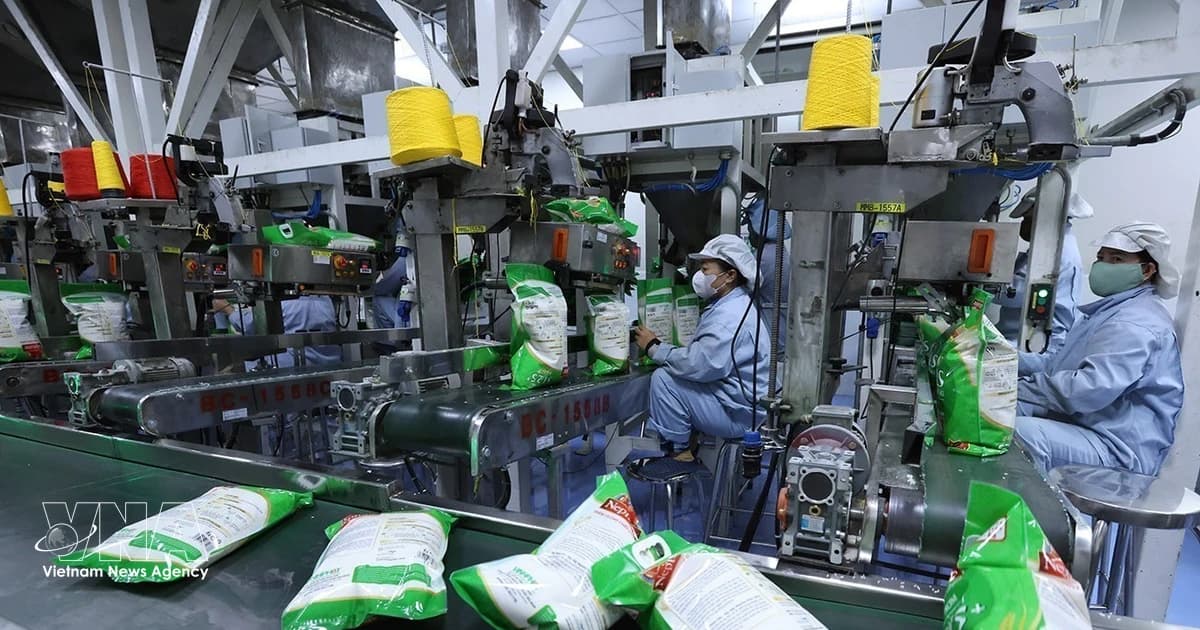 Vietnam’s rice exports exceed 3.1 billion USD amid diverging markets