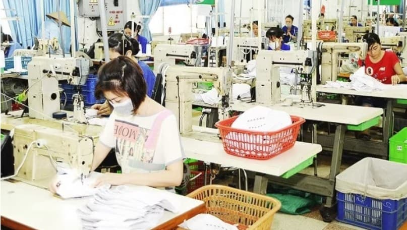 Vietnamese businesses face pressure from new green trade rules