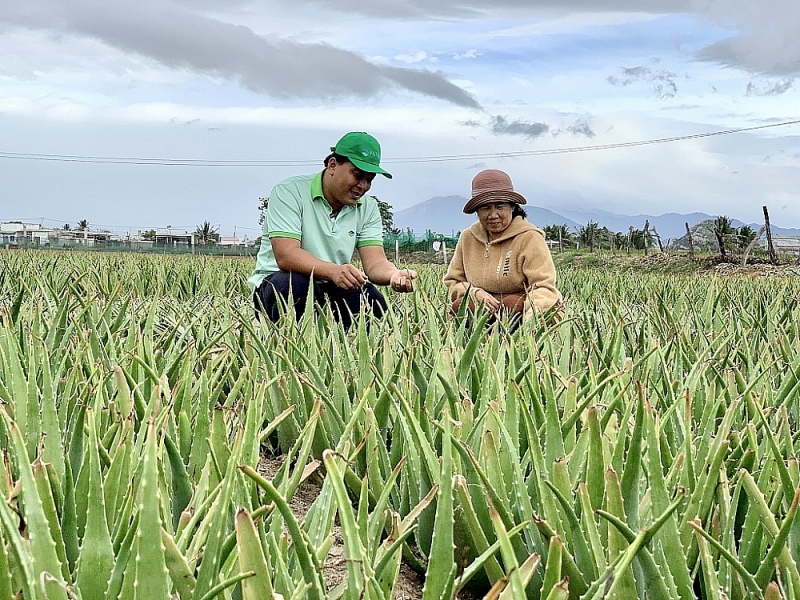 Link to bring agricultural products to the world