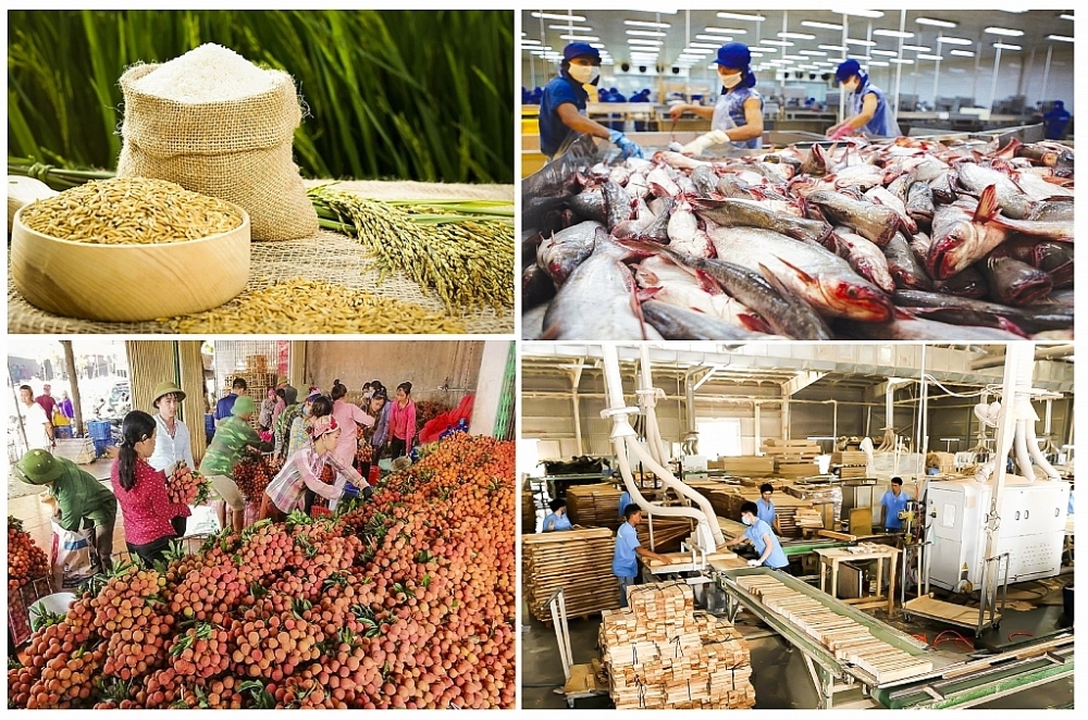 agricultural-products-see-trade-surplus-of-us-6-2-billion-in-eight-months