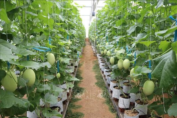 Action plan to promote green growth in agriculture