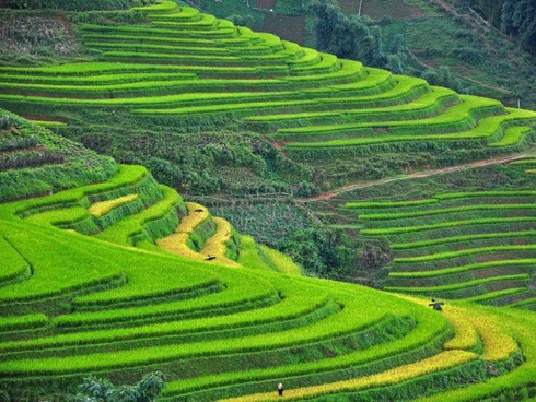 Sapa, Ninh Binh named among top 14 rising hotspots in Asia