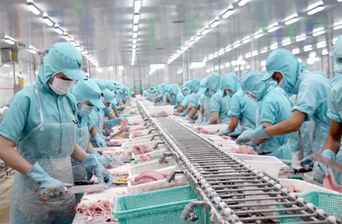 Tra fish exporters struggle with production, exports