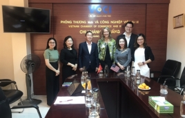 VCCI Da Nang Intensifying Support to Businesses